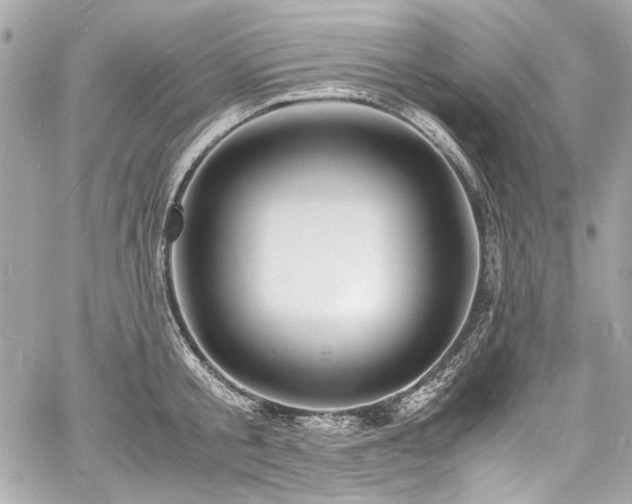 X0000060750805200511101114