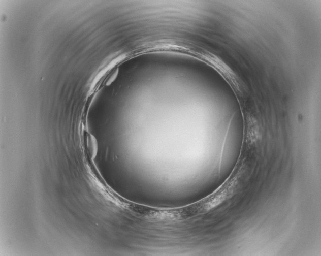 X0000060750806200511101114