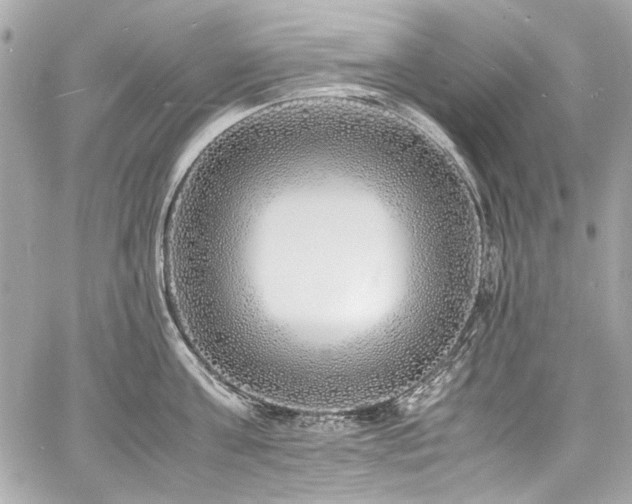 X0000060750811200511101114