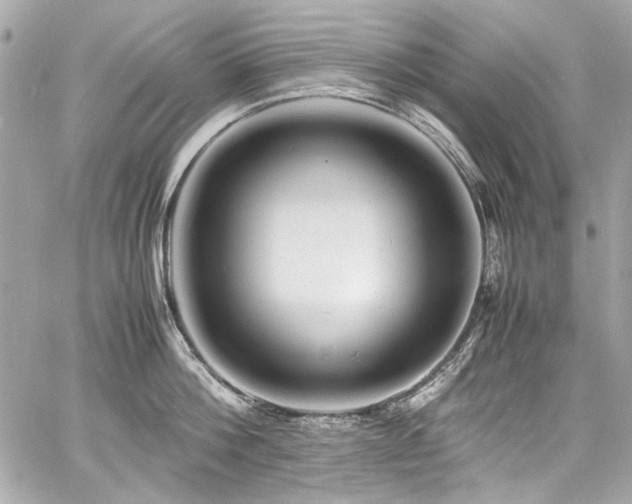 X0000060750812200511101114