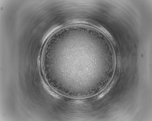 X0000060750814200511101114