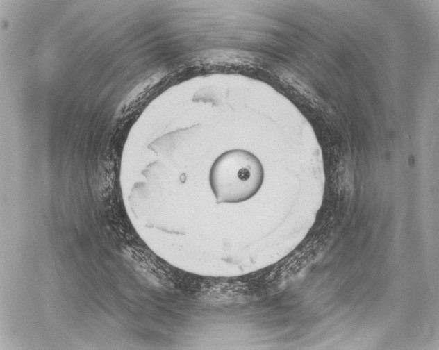 X0000060750824200511101113