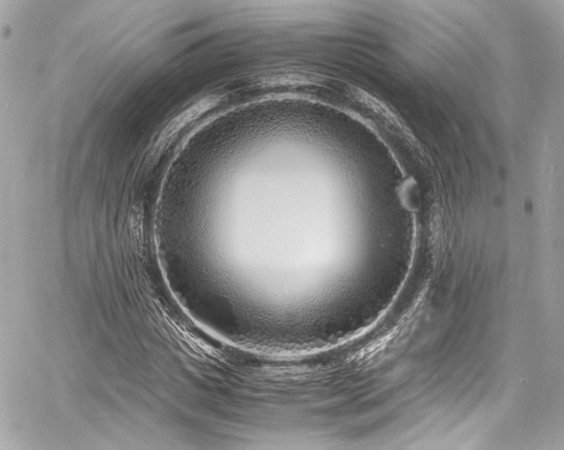 X0000060750825200511101113
