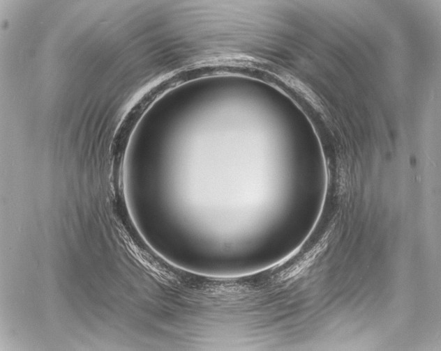X0000060750830200511101113
