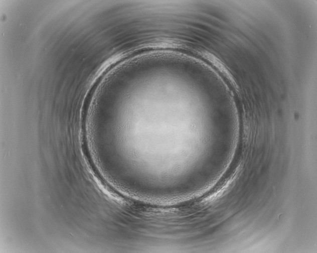 X0000060750845200511101113
