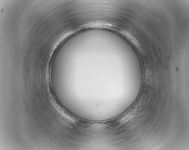 X0000060750848200511101114