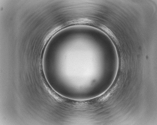 X0000060750850200511101114