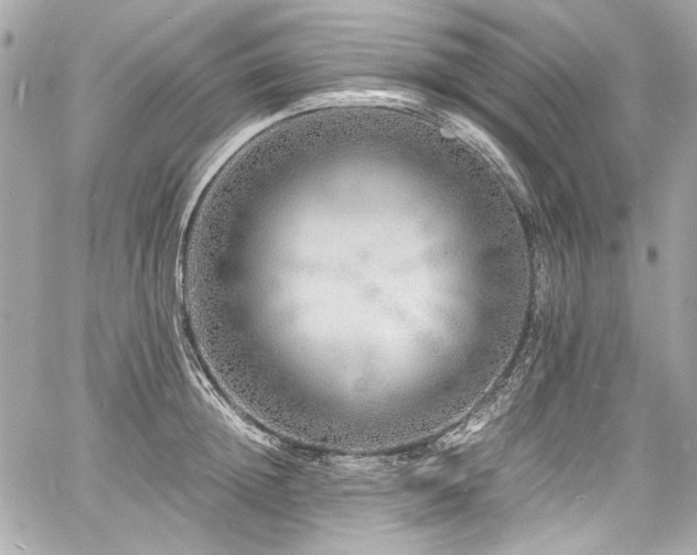 X0000060750852200511101114