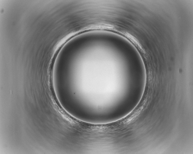 X0000060750854200511101114