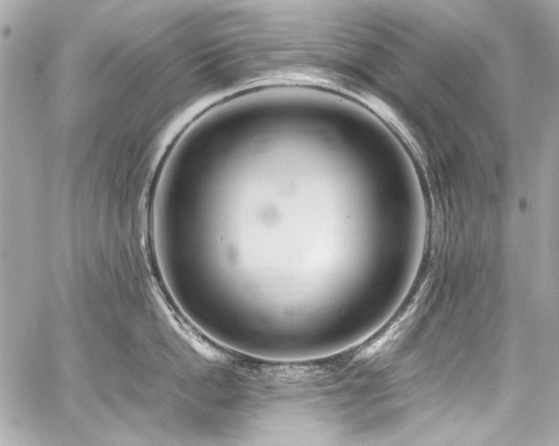 X0000060750862200511101114