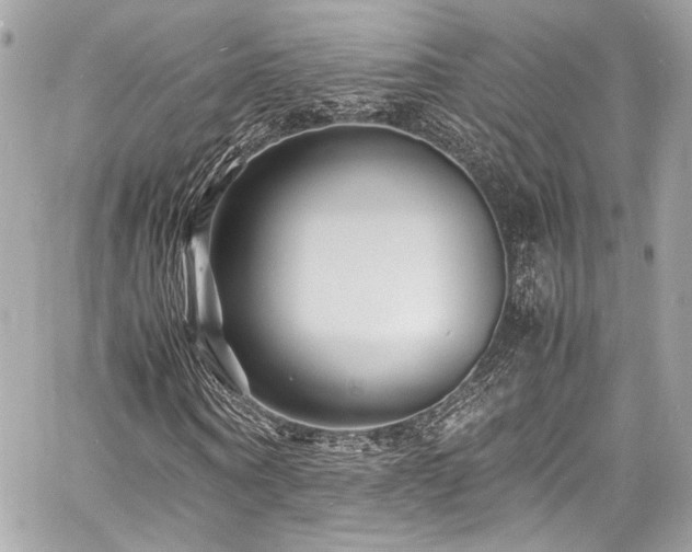 X0000060750866200511101113