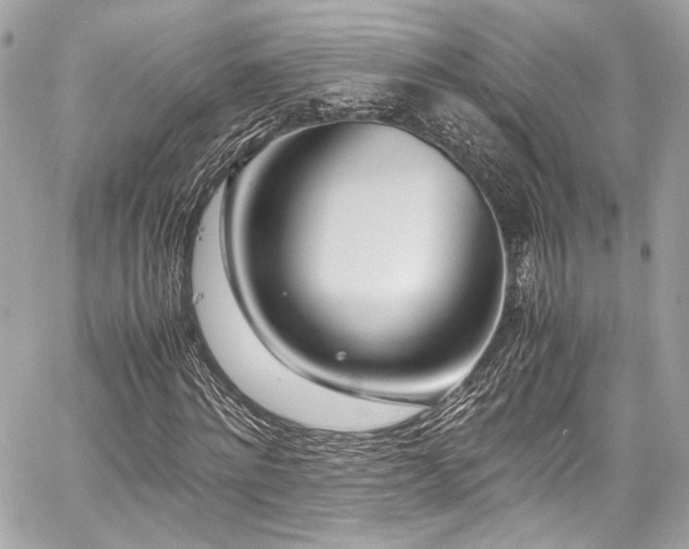 X0000060750868200511101113