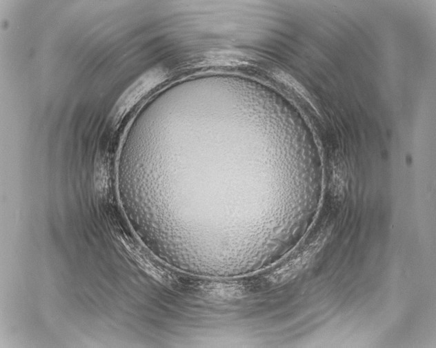 X0000060750874200511101113