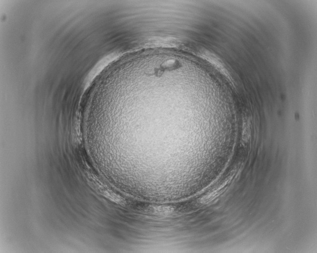X0000060750878200511101113