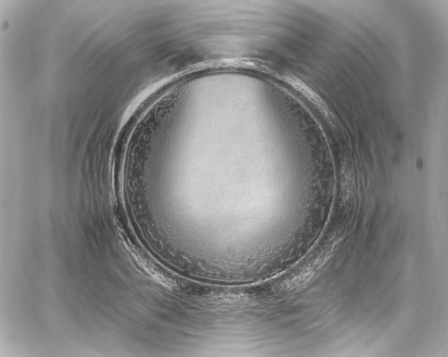 X0000060750886200511101113