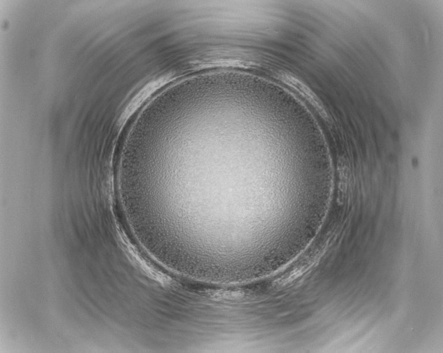 X0000060750890200511101113