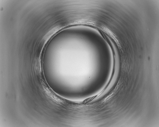 X0000060750892200511101113