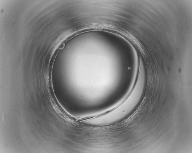 X0000060750896200511101112