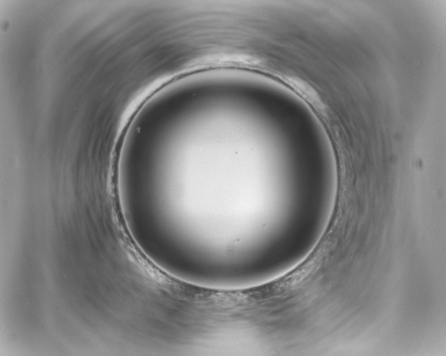 X0000060750912200511101112