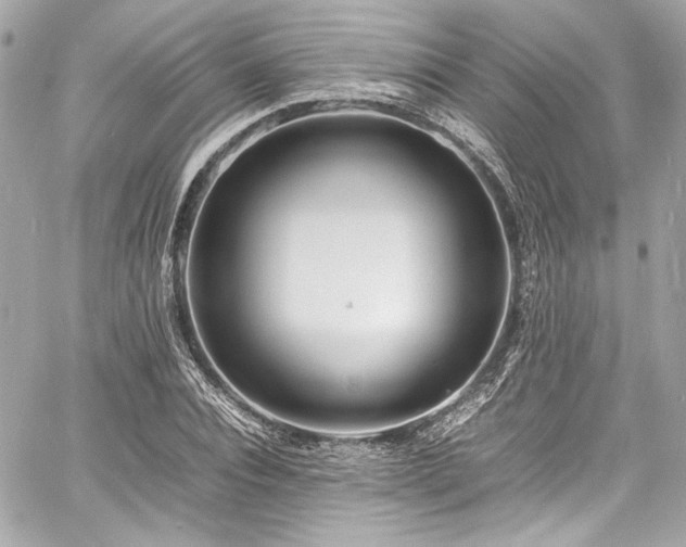 X0000060750928200511101112