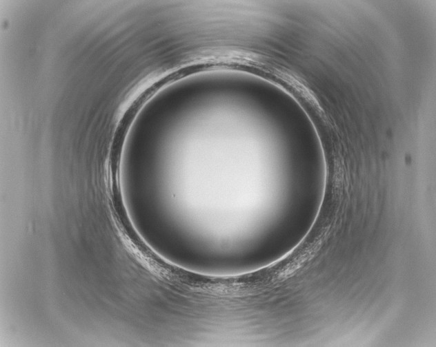 X0000060750936200511101112