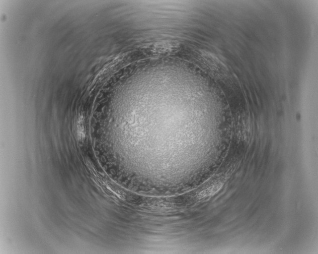 X0000060750962200511101111