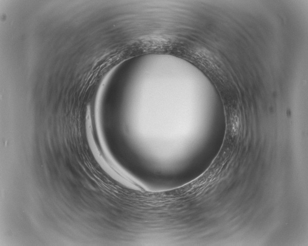 X0000060750964200511101111