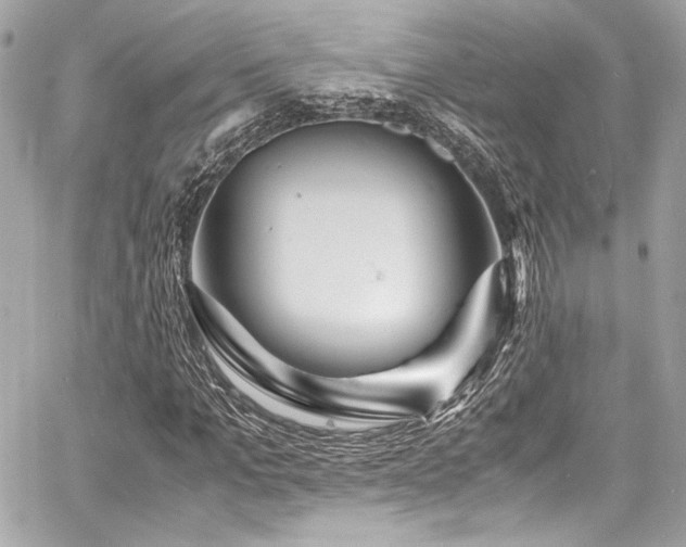 X0000060750965200511101111