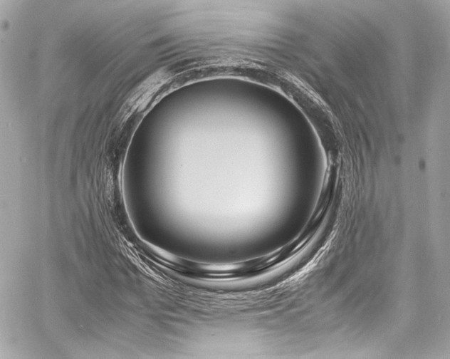 X0000060750969200511101111