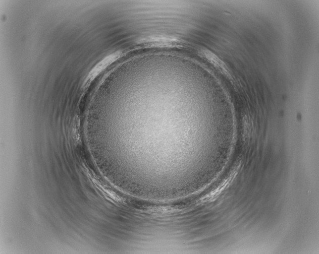 X0000060750970200511101111