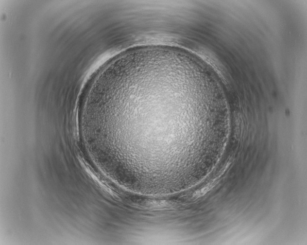X0000060750982200511101111