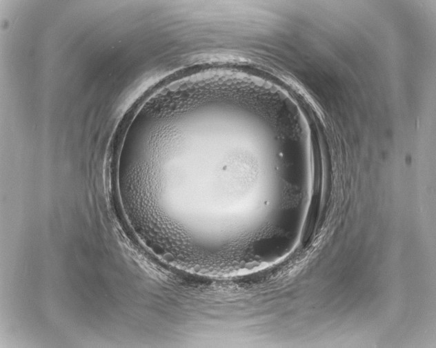 X0000060750983200511101111