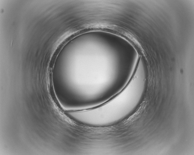 X0000060750984200511101111