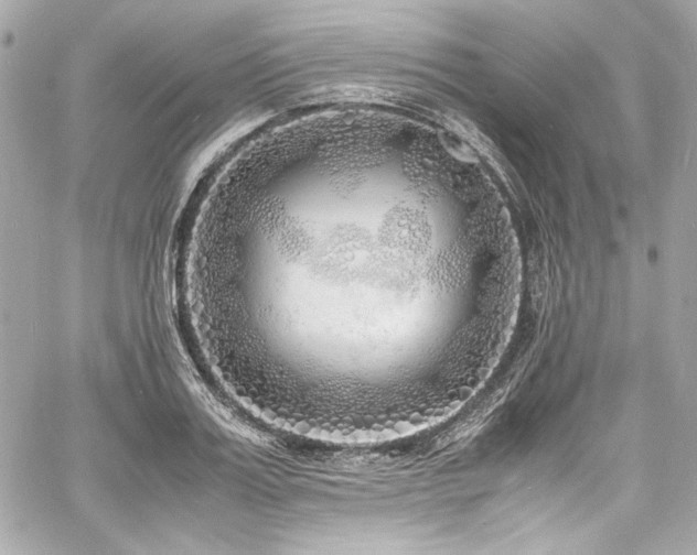 X0000060750987200511101111