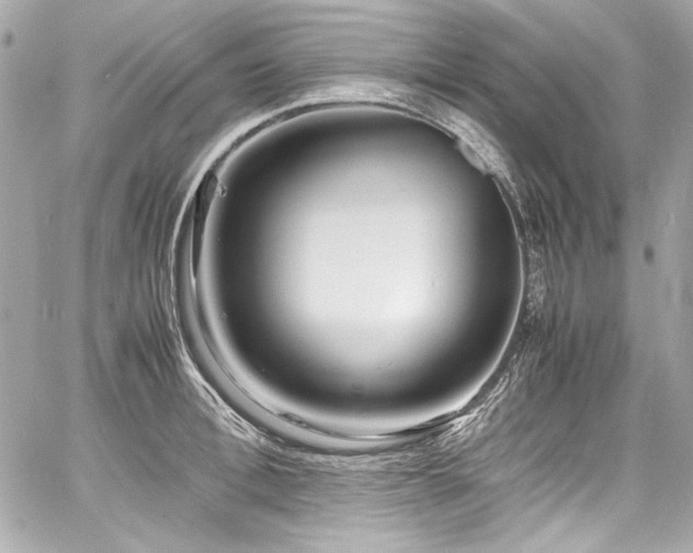 X0000060750996200511101111