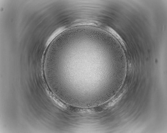 X0000060751002200511101111