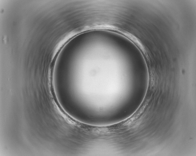 X0000060751006200511101111