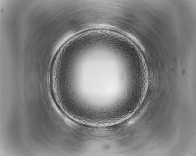 X0000060751007200511101110