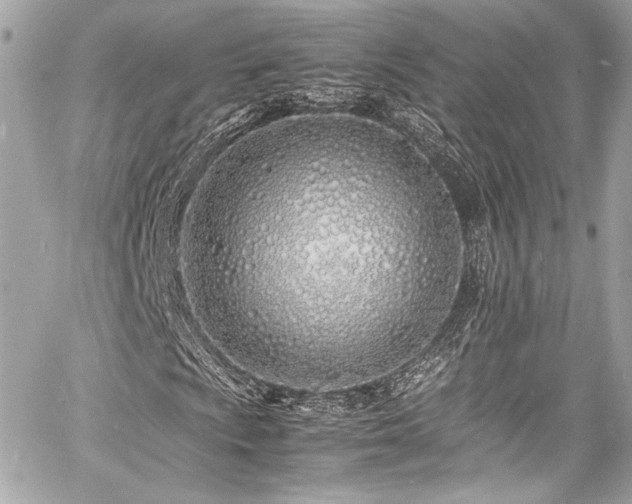 X0000060751009200511101110