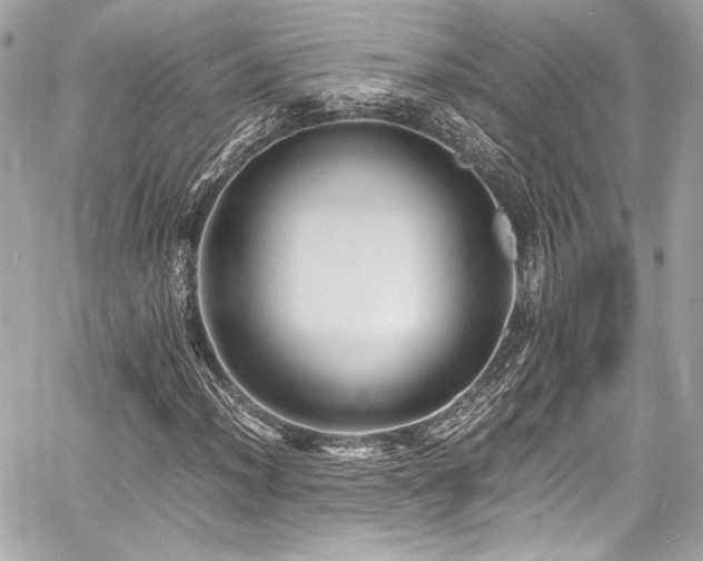 X0000060751012200511101110