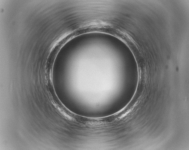 X0000060751018200511101110