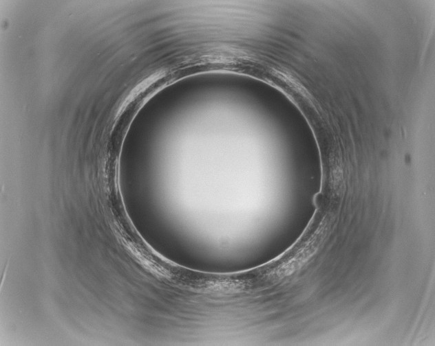 X0000060751026200511101110
