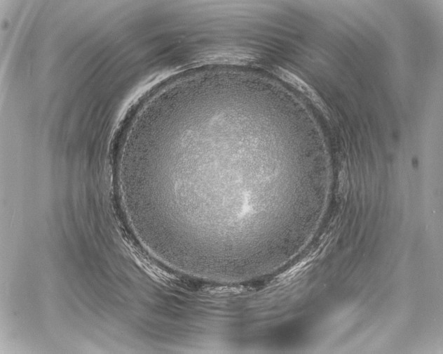 X0000060751027200511101110