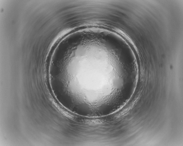 X0000060751045200511101110