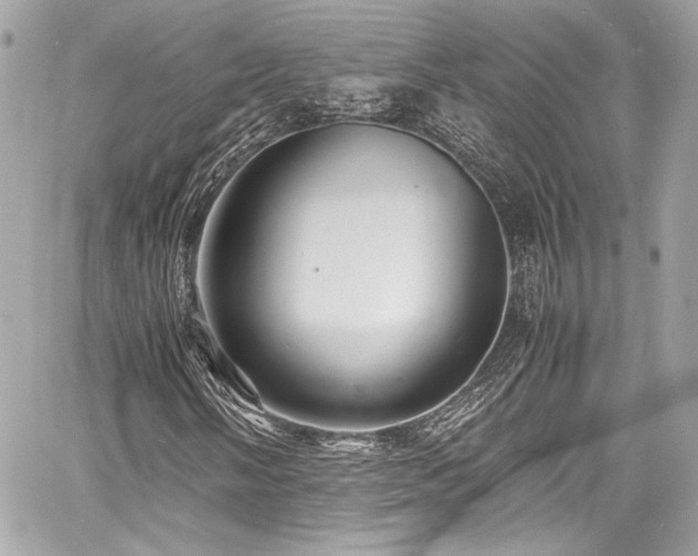 X0000060751058200511101110