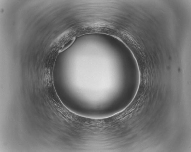 X0000060751062200511101110