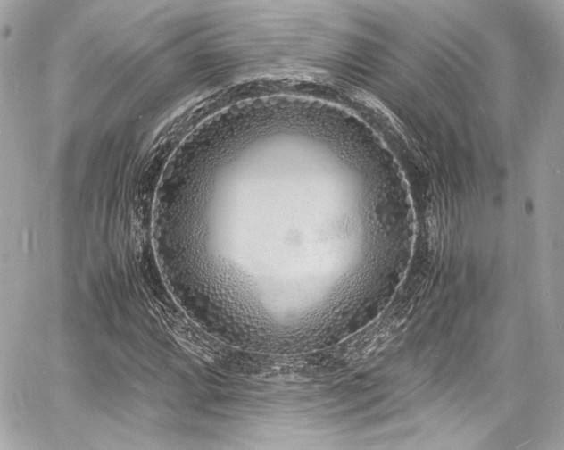 X0000060751064200511101110
