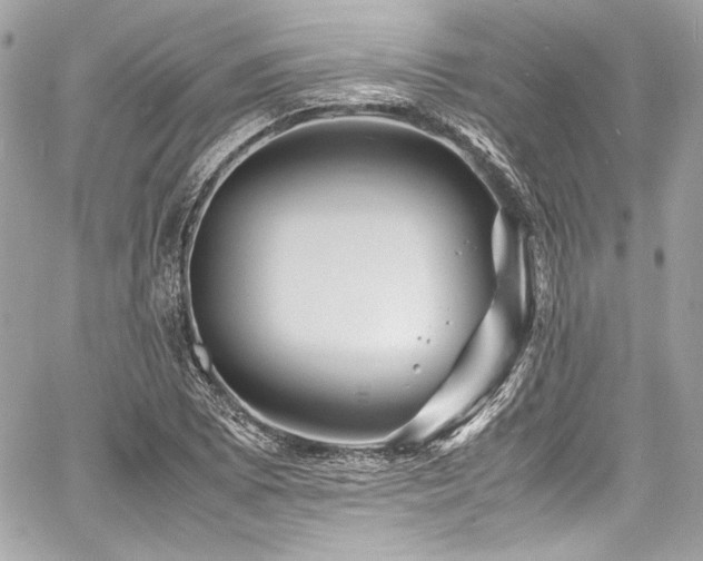 X0000060751073200511101109