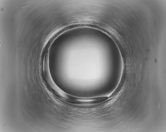 X0000060751077200511101109