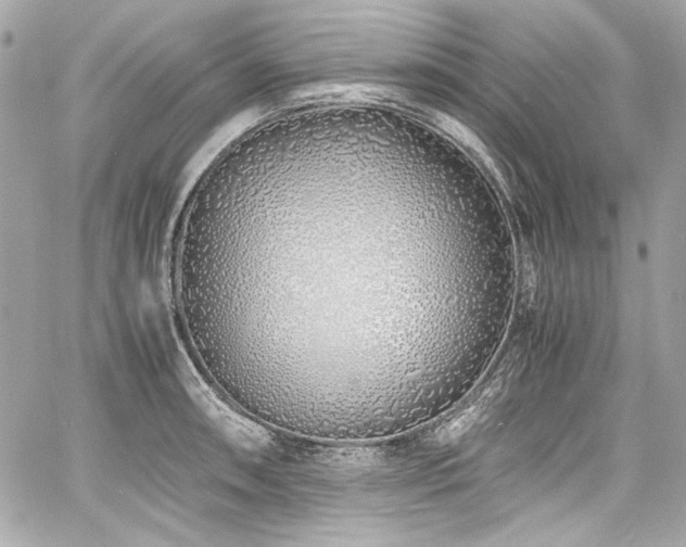 X0000060751090200511101109